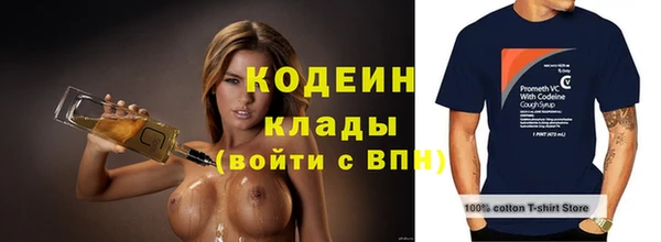 гидра Арсеньев