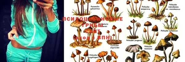гашишное масло Покровск