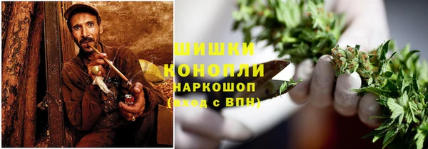 гидра Арсеньев