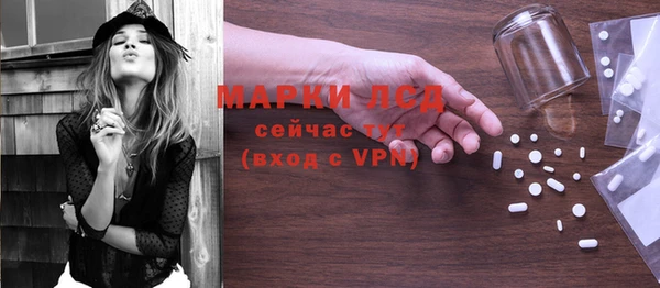 гидра Арсеньев